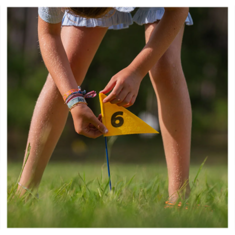 Disc Golf, joc de aruncare cu discuri - poza 3