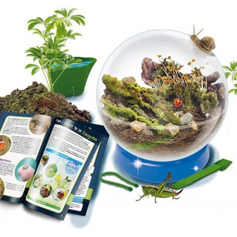 Experimentele micului geniu - habitate si ecosisteme - poza 2