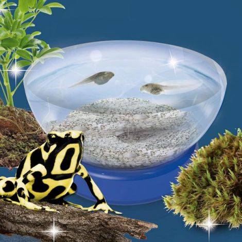 Experimentele micului geniu - habitate si ecosisteme - poza 3