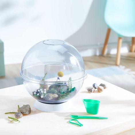 Experimentele micului geniu - habitate si ecosisteme - poza 4