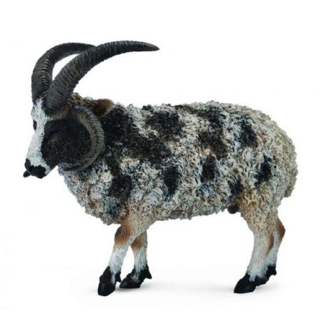Figurina Jacob Sheep L Collecta - poza 1