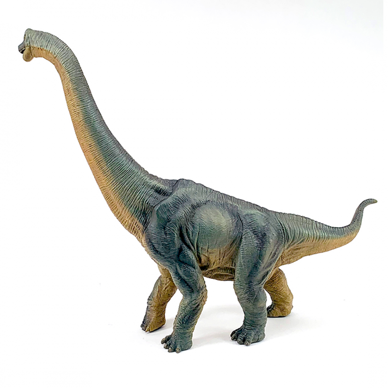 Figurina Papo Dinozaur Brachiosaurus - poza 3