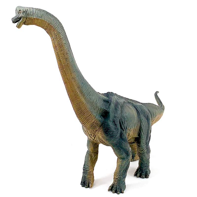 Figurina Papo Dinozaur Brachiosaurus - poza 4