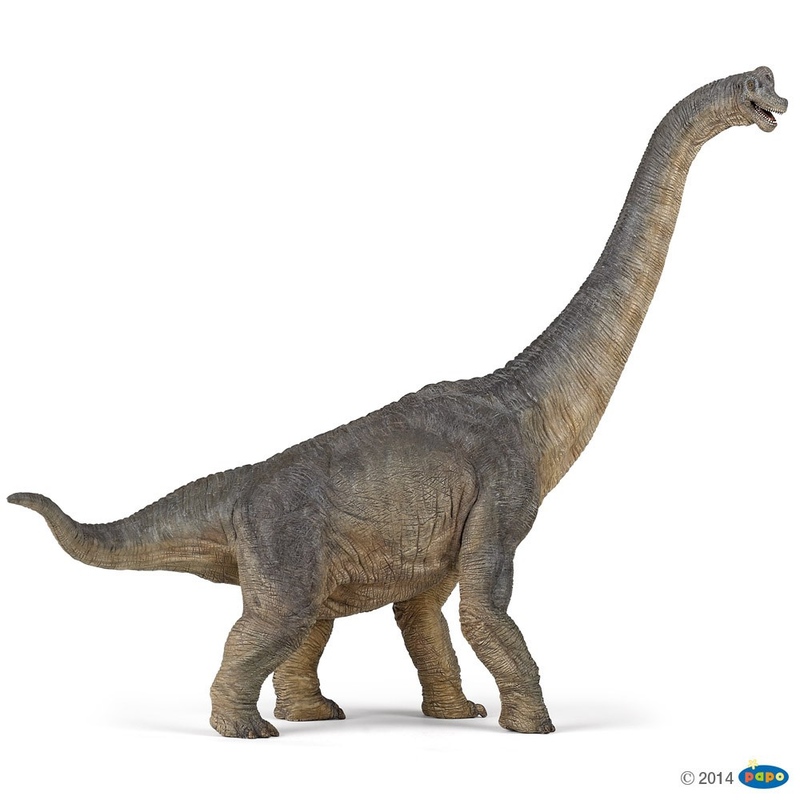Figurina Papo Dinozaur Brachiosaurus - poza 5