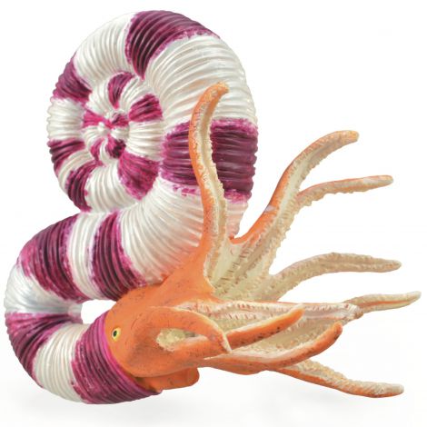Figurina pictata manual Pravitoceras - poza 1