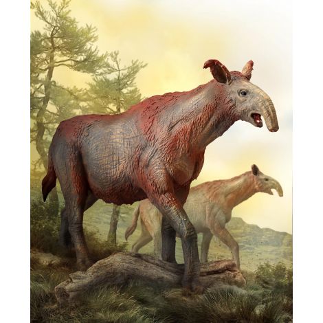 Figurina preistorica pictata manual Paraceratherium - poza 3