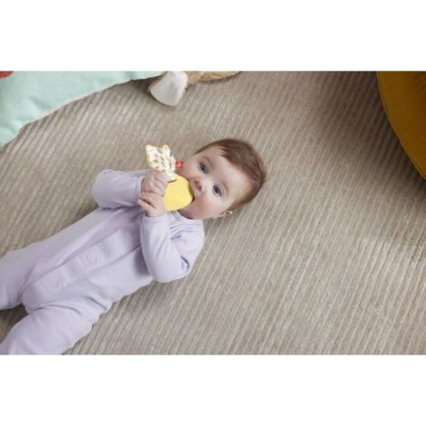 Fisher Price Jucarie Dentitie Iepuras - poza 3