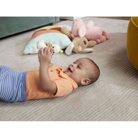Fisher Price Jucarie Zornaitoare Gasca - poza 3