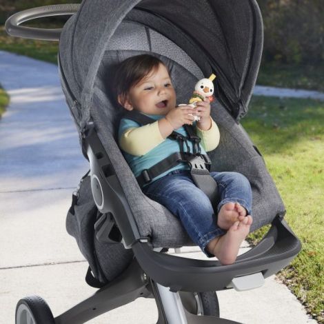 Fisher Price Jucarie Zornaitoare Gasca - poza 4
