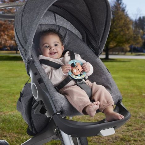 Fisher Price Jucarie Zornaitoare Salamandra - poza 3