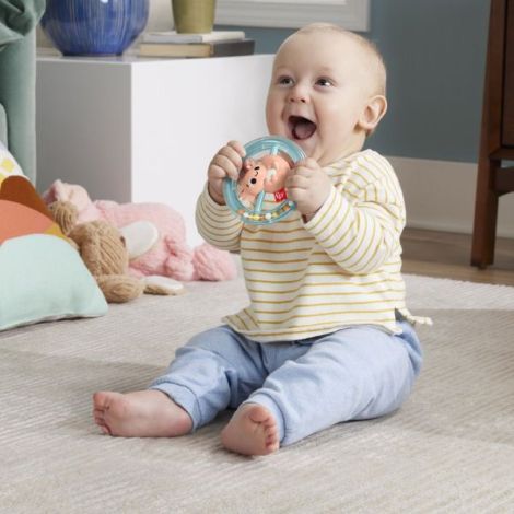 Fisher Price Jucarie Zornaitoare Salamandra - poza 4