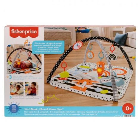 Fisher Price Saltea Muzicala 3 In 1 Cu Centru De Activitati - poza 2