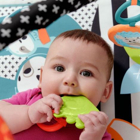 Fisher Price Saltea Muzicala 3 In 1 Cu Centru De Activitati - poza 5