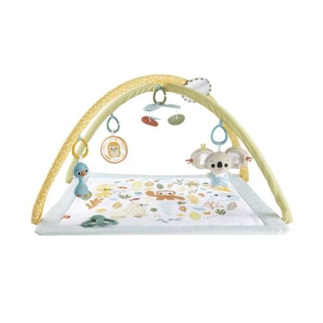 Fisher Price Salteluta De Activitati - poza 1
