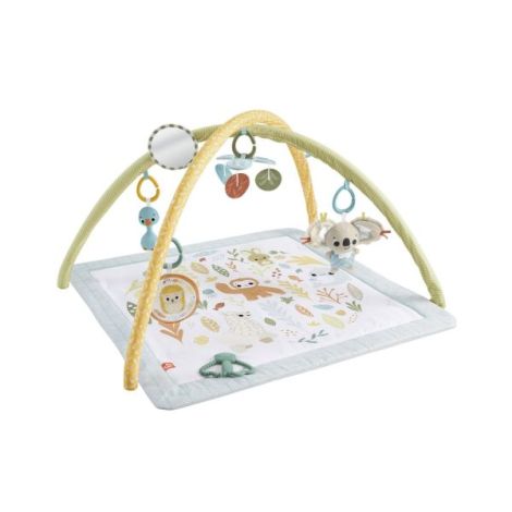 Fisher Price Salteluta De Activitati - poza 3