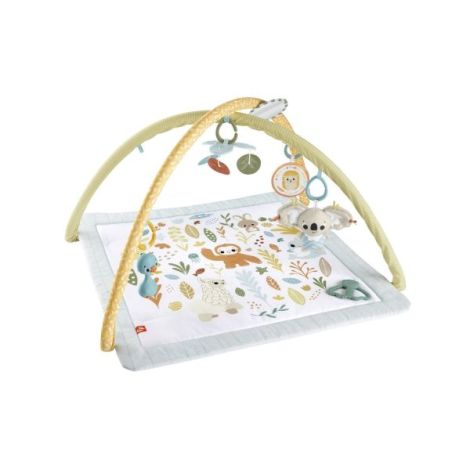 Fisher Price Salteluta De Activitati - poza 4