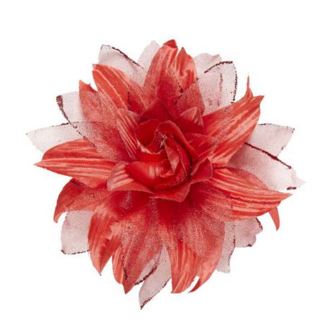 Floare rosie - poza 2