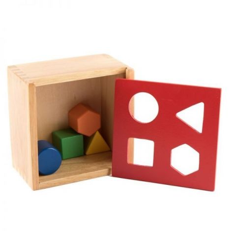 Forme colorate in cutie, Viga Toys - poza 4