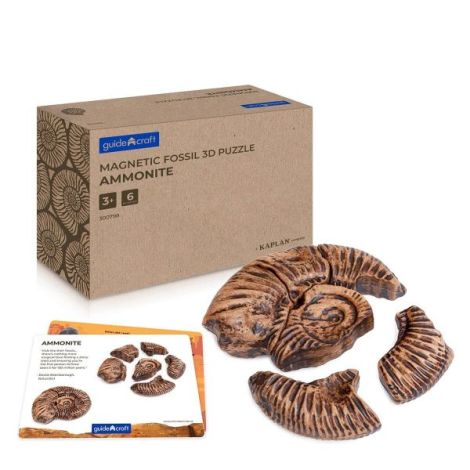 Fosile Ammonite, set magnetic 3D, Guidecraft - poza 1