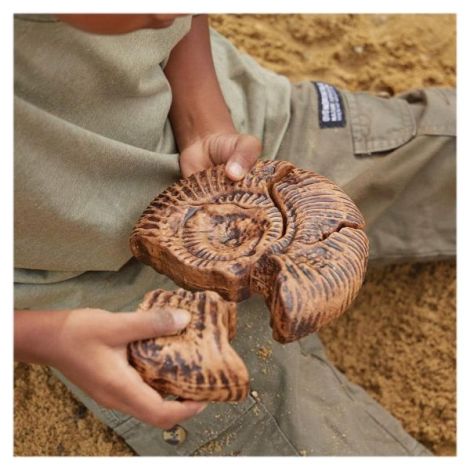 Fosile Ammonite, set magnetic 3D, Guidecraft - poza 2