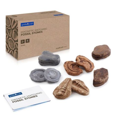 Fosile magnetice, set 6 perechi, Guidecraft - poza 1