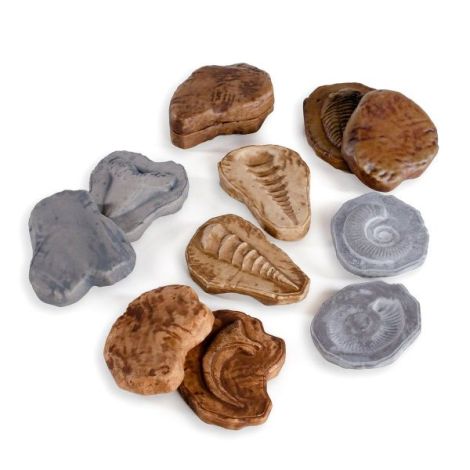 Fosile magnetice, set 6 perechi, Guidecraft - poza 4
