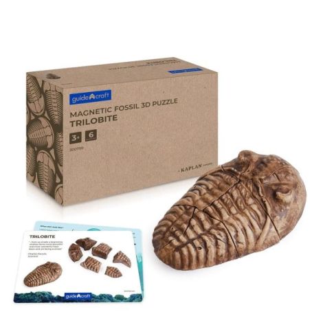 Fosile Trilobit, set magnetic 3D, Guidecraft