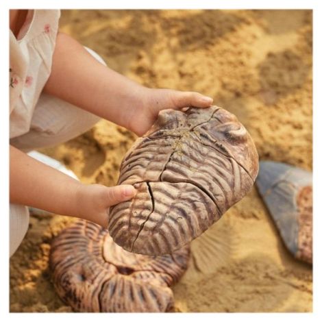 Fosile Trilobit, set magnetic 3D, Guidecraft - poza 2
