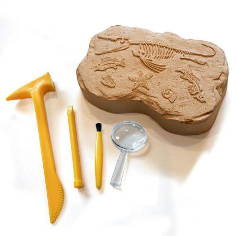Geosafari - kit excavare fosile - poza 2