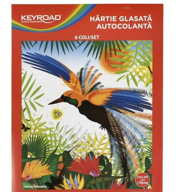 Hartie glasata autocolanta,210x290 mm,6 coli set