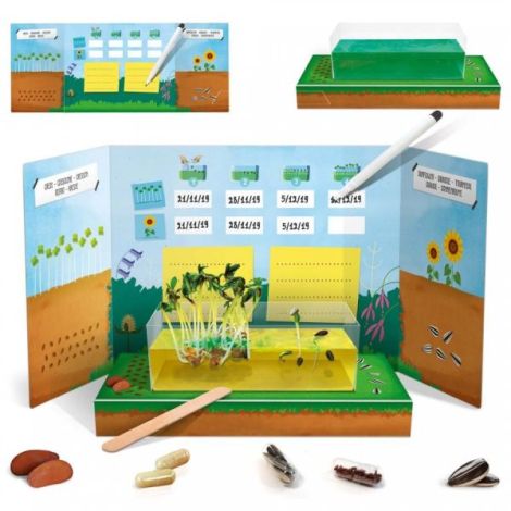 Headu Montessori - Jurnalul Stiintei - poza 1