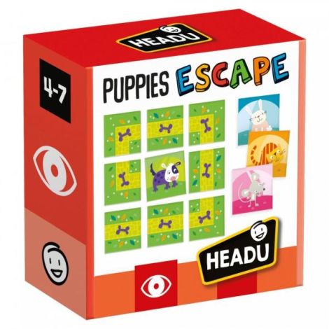 Headu Teacher Tested - Puzzle Ajuta Catelul Sa Evadeze Din Labirint - poza 2