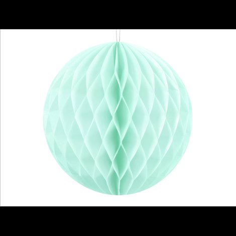 Honeycomb mint 10 cm