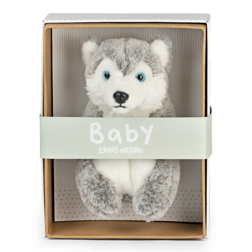 Husky Bebelus de plus 17 cm in cutie , Living Nature