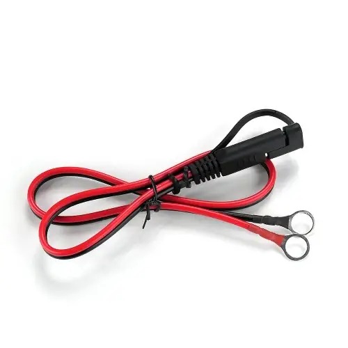 Incarcator inteligent 12V/24V curent 2/5/10A pt acumulatori si masinute electrice copii, everActive - Autokids.ro - poza 4