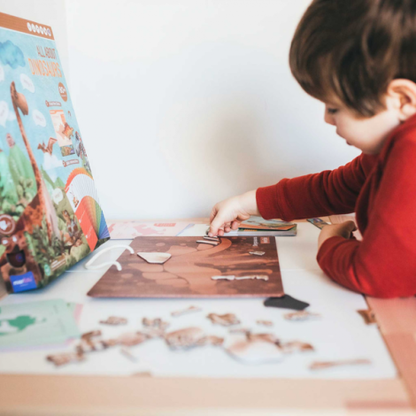 Joc educativ magnetic - Totul despre Dinozauri - poza 5
