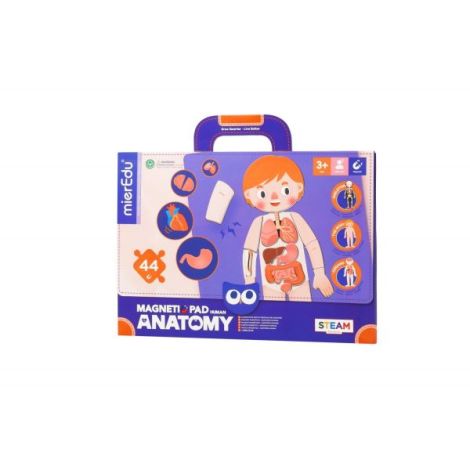 Joc magnetic educativ - Anatomia Umana - poza 1