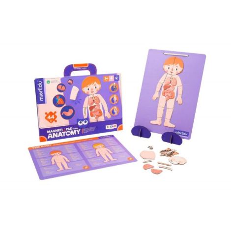 Joc magnetic educativ - Anatomia Umana - poza 2