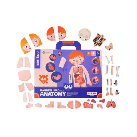 Joc magnetic educativ - Anatomia Umana - poza 3