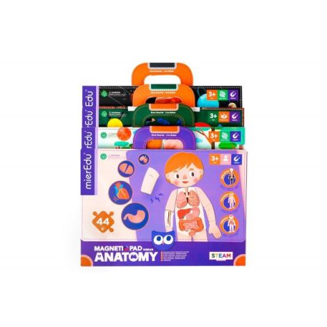 Joc magnetic educativ - Anatomia Umana - poza 4