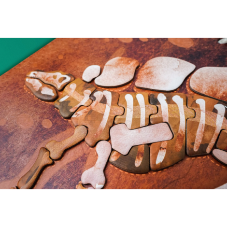 Joc magnetic educativ -Stegosaurus - poza 5
