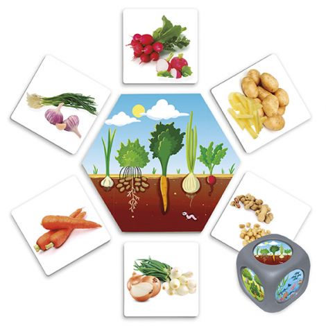 Joc pentru dezvoltarea cunostintelor despre natura: De unde provin alimentele? - poza 2