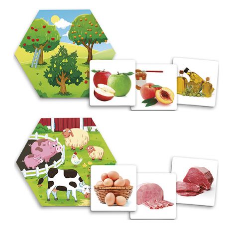 Joc pentru dezvoltarea cunostintelor despre natura: De unde provin alimentele? - poza 3