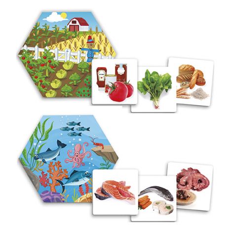 Joc pentru dezvoltarea cunostintelor despre natura: De unde provin alimentele? - poza 4