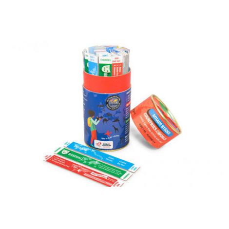Joc smart sticks - tari - poza 2