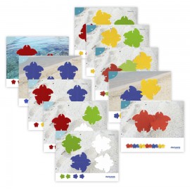 Joc STEM pentru invatarea numararii si sortarii cu 20 de broscute si 18 carduri cu activitati, Testoasele Matematiciene - poza 5