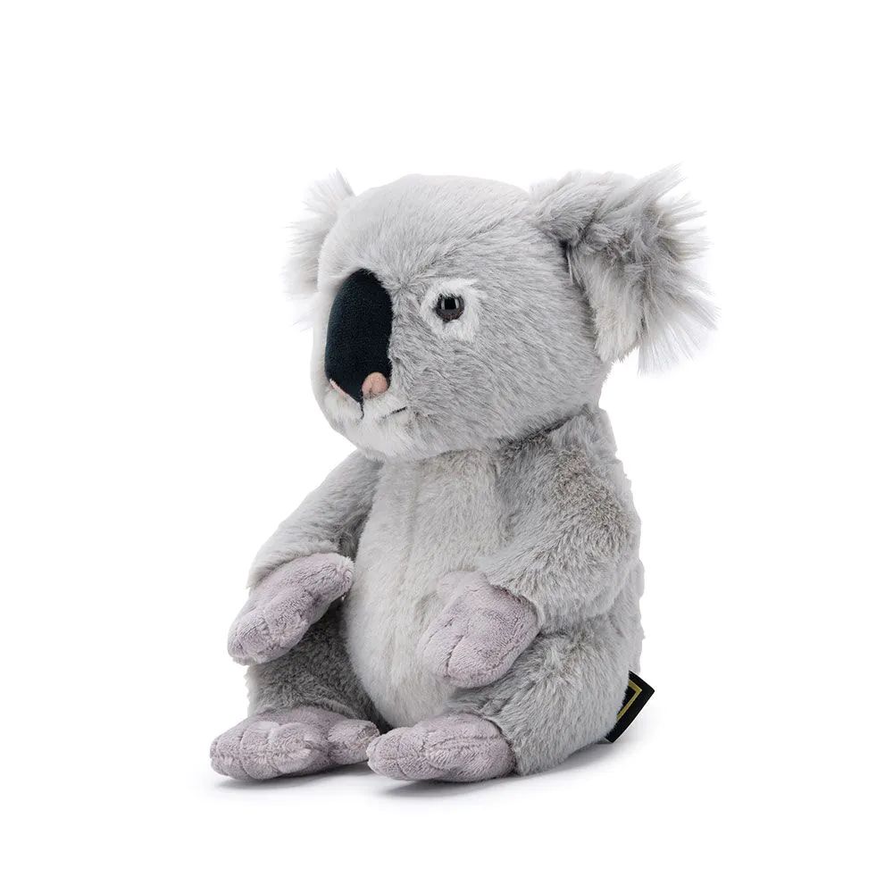 Jucarie de plus urs Koala National Geographic 25 cm - poza 4
