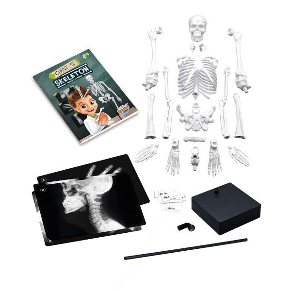 Jucarie educativa Buki Schelet Gigant 45 cm