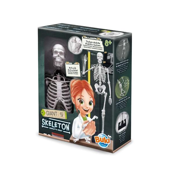 Jucarie educativa Buki Schelet Gigant 45 cm - poza 2