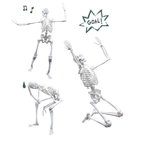 Jucarie educativa Buki Schelet Gigant 45 cm - poza 5
